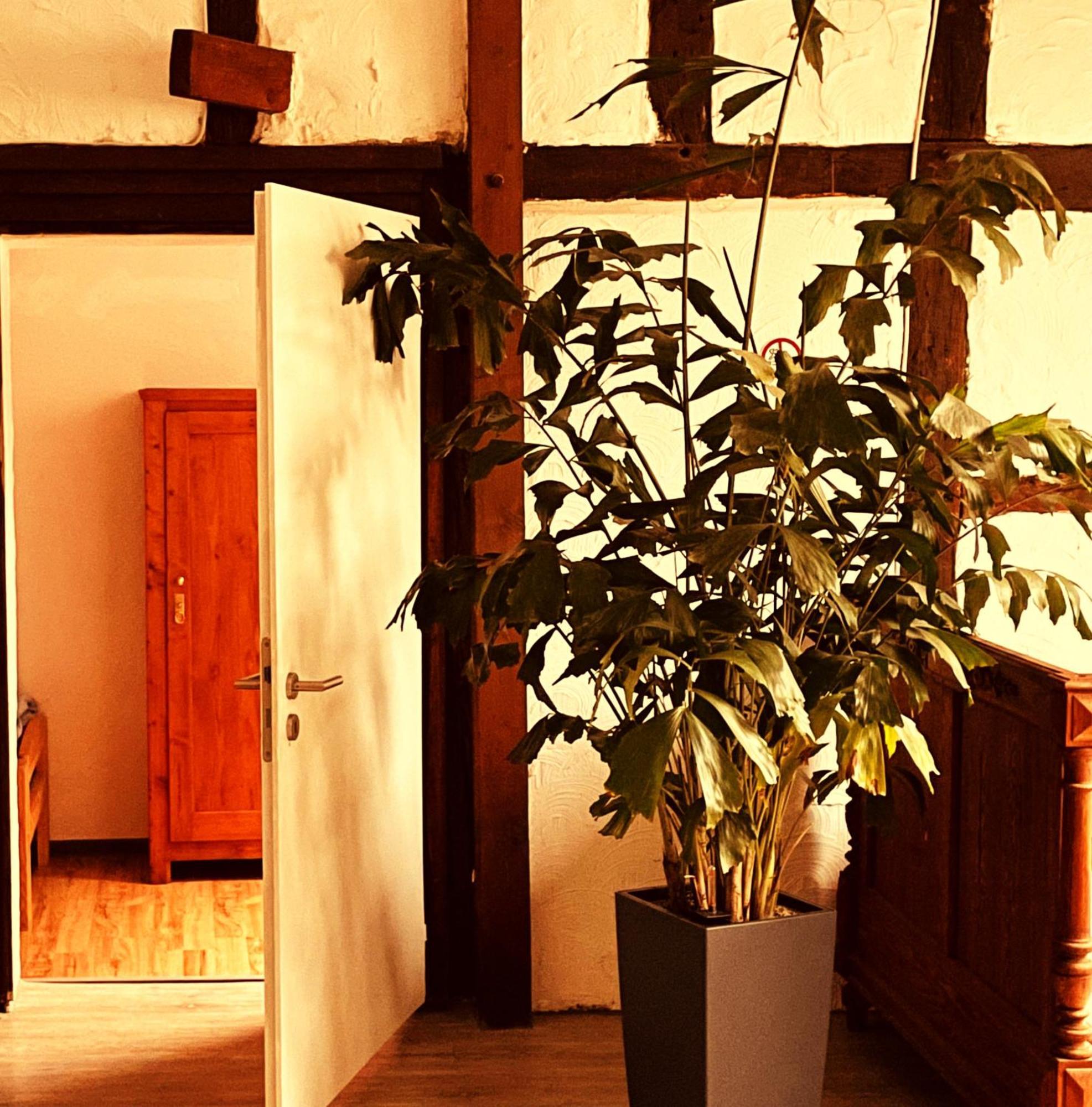 Cottage Huehnerstall Zulpich Εξωτερικό φωτογραφία